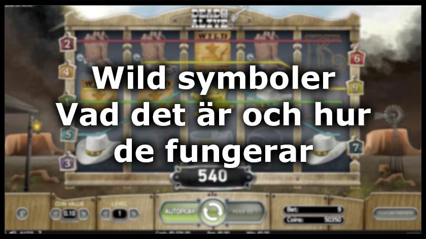 Vilka fördelar wild symboler har i slotspel