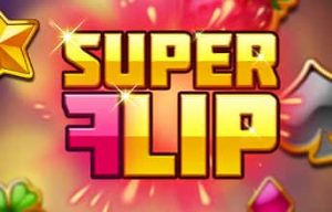 Super Flip slot