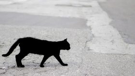 superstition